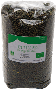 Lentilles BIO 500 gr